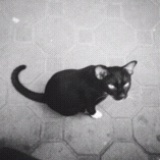 潘查德