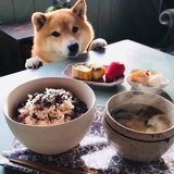 米妮为什么瘦了