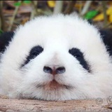 捂嘴不可取