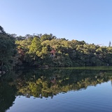 小跳呱
