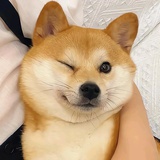 旺旺旺旺