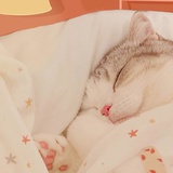 吃橙