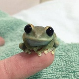 Voldemortsmile