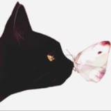 酱油的亲戚