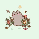 望远山