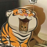 考试不过不改名