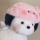 hschdvgfsv