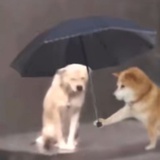 一只我