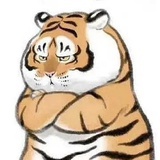 偏爱美人