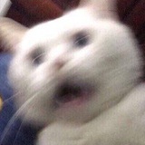啊啊啊啊啊