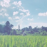 二十五颗星灵魂