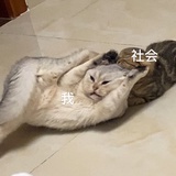 怀抱猪