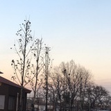 没有故事的姑娘
