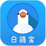白鸽宝
