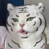 麻辣女兵