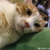 少女病