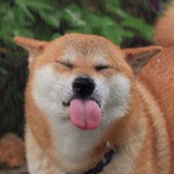 喜剧制造机