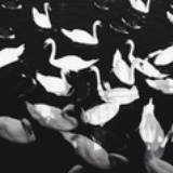 懶公子