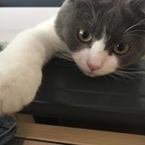 渔夫