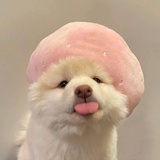 超·好运