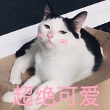 七院