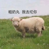 王祖贤