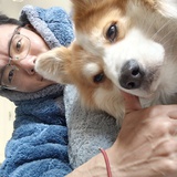 没读过什么书