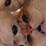 咕噜噜_