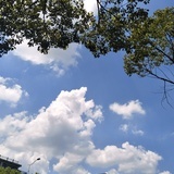 锅