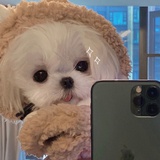 HE