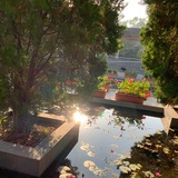 孟来