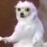 不要来烦我