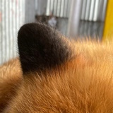 云和
