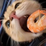 二柒
