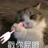 秧歌star