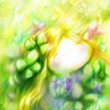 舒米勒