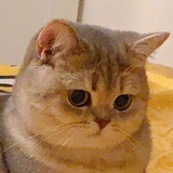 梨梨梨梨梨