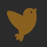 YoungBird