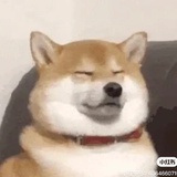 画圈圈