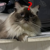 豆友92618145