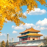 白芍
