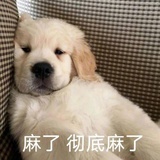 该用户不存在