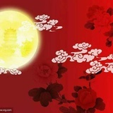 就是爱占星