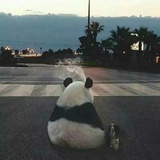 一个栗子