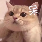 数字
