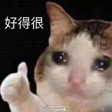 时光漫步照相馆