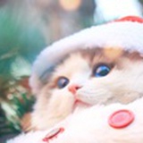 薯条要配番茄酱