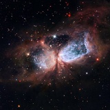 -凌凌星云