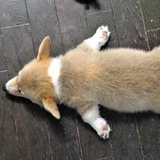 白骨清灰一把撒