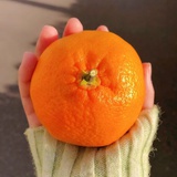 柚与桃🍑